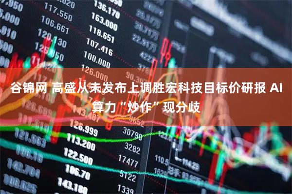 谷锦网 高盛从未发布上调胜宏科技目标价研报 AI算力“炒作”现分歧