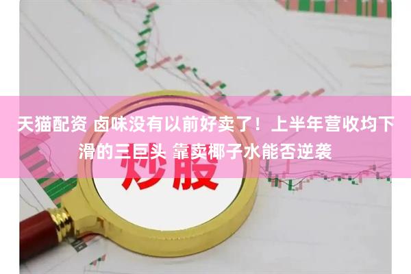 天猫配资 卤味没有以前好卖了！上半年营收均下滑的三巨头 靠卖椰子水能否逆袭