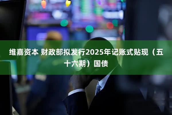 维嘉资本 财政部拟发行2025年记账式贴现（五十六期）国债