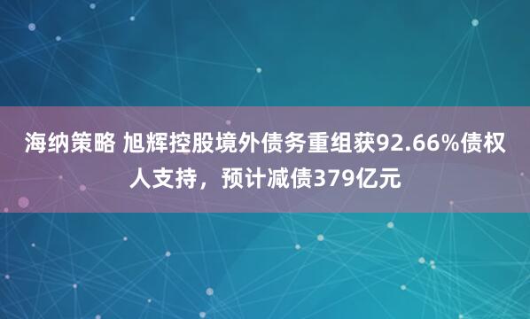 海纳策略 旭辉控股境外债务重组获92.66%债权人支持，预计减债379亿元