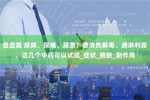 盘盘赢 尿频、尿痛、尿急？要清热解毒、通淋利尿，这几个中药可以试试_症状_膀胱_副作用